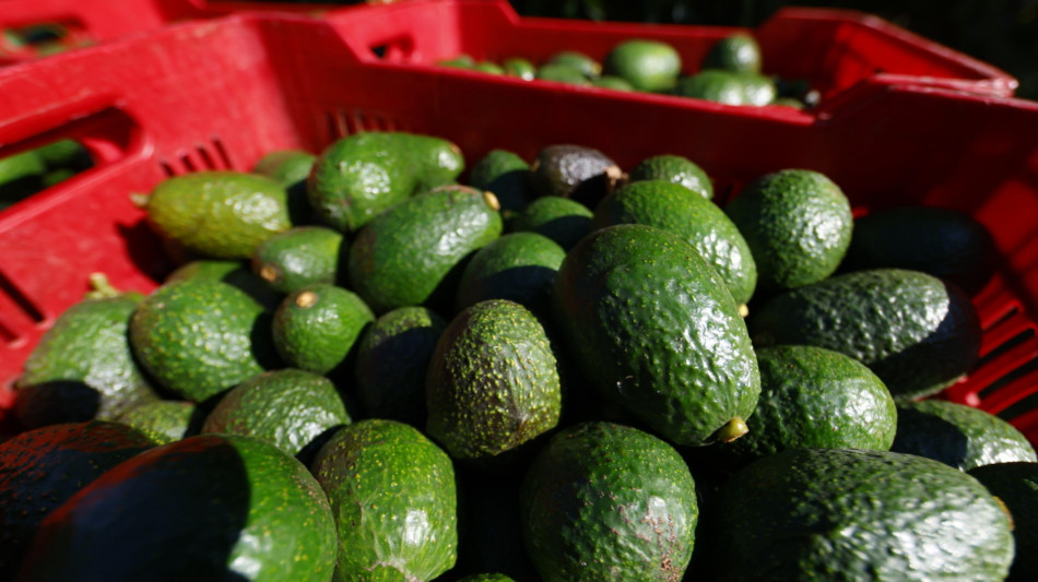  Carrello esotico, dai germogli di soia al kale e l'avocado costa -30% di 20 anni fa 