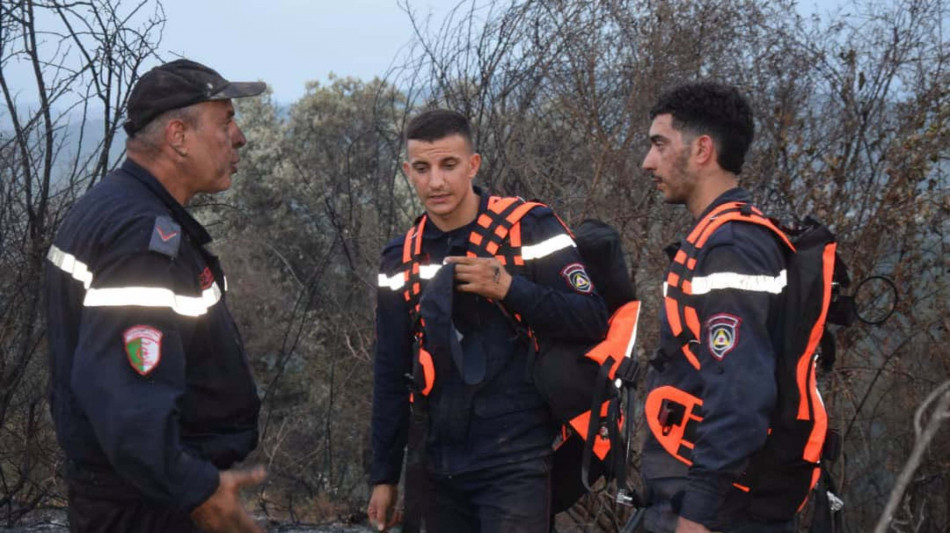  Incendi boschivi in Algeria, almeno sei i morti 