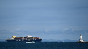 France to push shipping carbon tax at finance summit