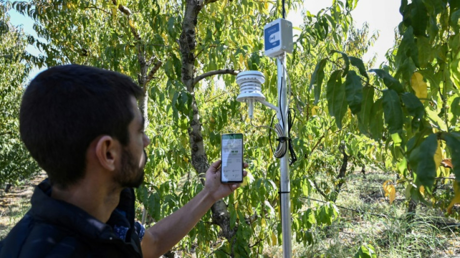 Tecnolog&iacute;a de agricultura inteligente brinda esperanza a Grecia