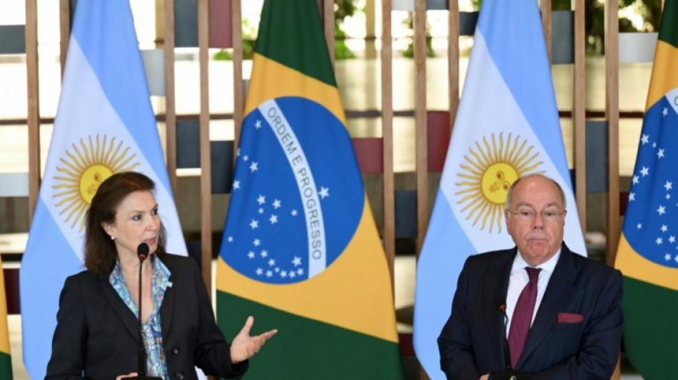 Argentina 'jamais vai interferir' em assuntos do Brasil, diz chanceler após apoio de Milei a Musk