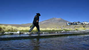 Fleuve Silala: la justice de l'ONU tranche le différend Chili-Bolivie