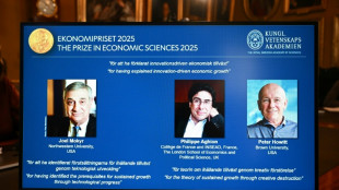 Trio vence o Nobel da Economia por estudos sobre crescimento e inova&ccedil;&atilde;o