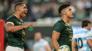 Feinberg-Mngomezulu captains Stormers into Champions Cup last 16