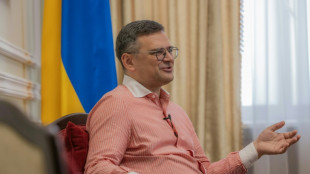 Ucrania necesitar&aacute; armas de Occidente hasta ganar la guerra, dice ministro a la AFP