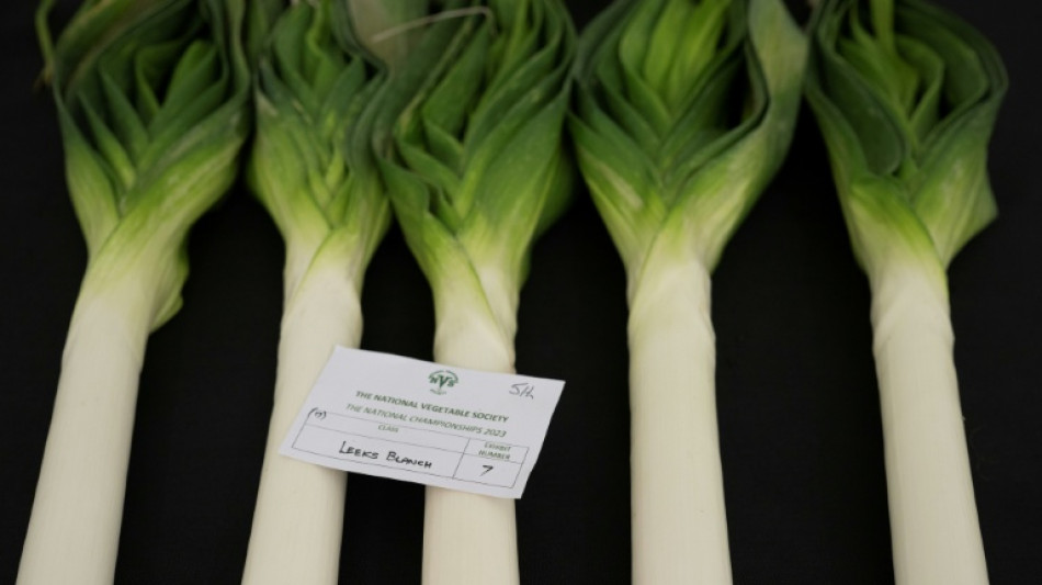 Kauft Lauch: Franz&ouml;sische Superm&auml;rkte unterst&uuml;tzen Gem&uuml;sebauern 