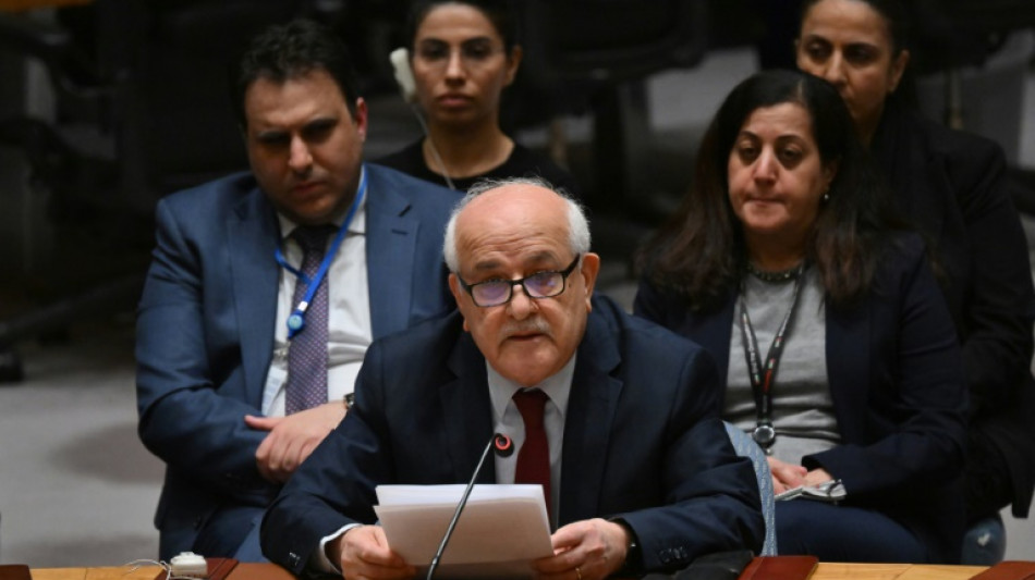 Conselho de Seguran&ccedil;a vai se pronunciar no fim do m&ecirc;s sobre ades&atilde;o da Palestina