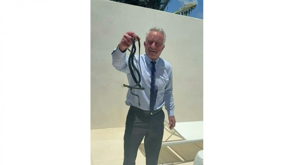  Live snakes, dead bears and brain worms: RFK Jr's wild animal antics 