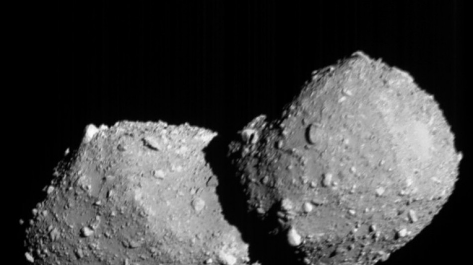  Japan probe made closest-ever asteroid flyby: space agency 