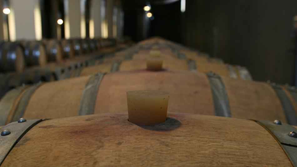  Uiv-Vinitaly, export made in Italy punti sul valore +3,5% in tre anni 