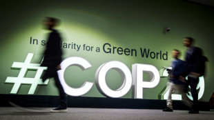 Climat: il est temps d'arr&ecirc;ter le "th&eacute;&acirc;tre" &agrave; Bakou, presse l'ONU