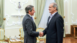 Nucl&eacute;aire iranien: les Occidentaux ont d&eacute;pos&eacute; une r&eacute;solution, mise en garde de T&eacute;h&eacute;ran