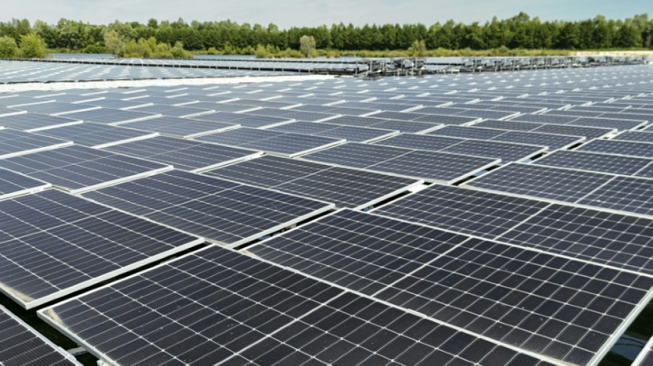  Electricit&eacute;: les &eacute;nergies renouvelables font "baisser les prix" au profit des consommateurs (r&eacute;gulateur) 