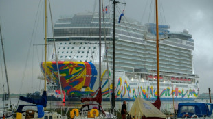 Rettung der Meyer Werft soll bis "sp&auml;testens 15. September" beschlossen sein