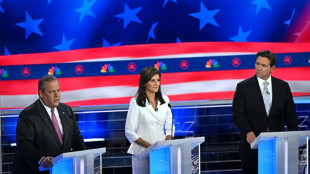 &iquest;Qui&eacute;nes son los precandidatos republicanos a las presidenciales en EEUU?