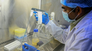 En Inde, espoir autour d'un vaccin contre la dengue dans sa phase finale d'essais