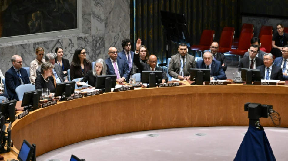 Cessez-le-feu &agrave; Gaza: nouveau veto am&eacute;ricain au Conseil de s&eacute;curit&eacute; de l'ONU