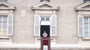 Il Papa, Dio illumini la coscienza di chi pu&ograve; decidere la pace