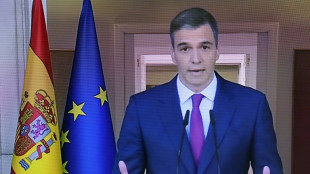 Espagne: retour aux affaires pour Pedro S&aacute;nchez