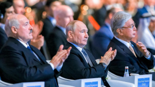 Putin, 'pronti a indagine obiettiva sul drone caduto in Romania'