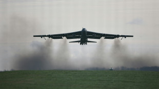 Eight dead in fiery US bomber crash in California: military