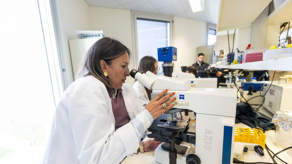  I primi batteri programmati per divorare i tumori dall'interno 