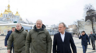 Ukraine: le Premier ministre polonais Tusk &agrave; Kiev, soutien politique et question des routiers