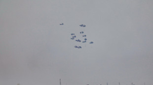 Idf, oggi lanciati 145 pallet di aiuti su Gaza