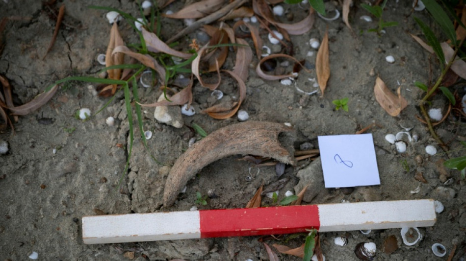  Drought-hit Danube gives way to fossil hunt in Bulgaria 