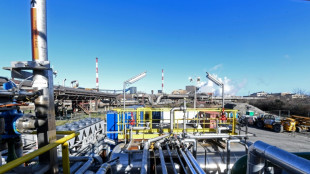 Budget: le gouvernement pr&eacute;voit un soutien d'1,55 milliard d'euros pour d&eacute;carboner l'industrie