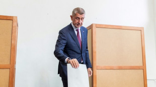 L&eacute;gislatives en R&eacute;publique tch&egrave;que, le milliardaire "trumpiste" Babis favori