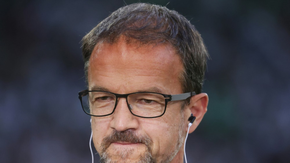 Bobic: "F&uuml;r einen Euro nehmen wir alles zur&uuml;ck"