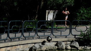 Bird flu outbreak shuts parks in Spain's Andalusia