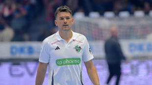 Handball: Prokop verl&auml;sst Hannover-Burgdorf nach Saisonende