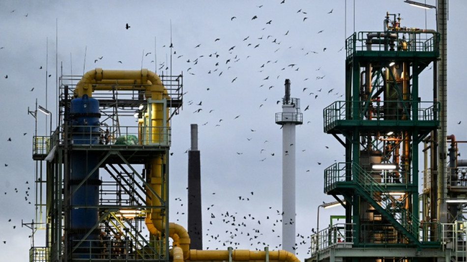  Energy-hungry German industries in decline since Ukraine war: data 