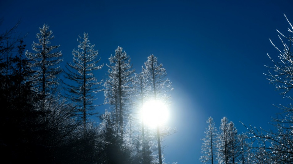 Urteil: Bisheriges Klimaschutzprogramm reicht nicht aus