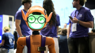 Robotique: les start-up europ&eacute;ennes se battent pour exister face aux mastodontes chinois