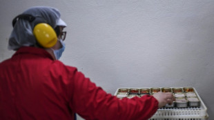 Deux ONG alertent sur une "contamination g&eacute;n&eacute;ralis&eacute;e" au mercure du thon en conserve en Europe