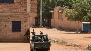 Fighting rages in Darfur as Sudan mediators report progress