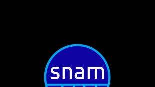 Snam, gli stoccaggi italiani di gas sono al 50% a fine aprile