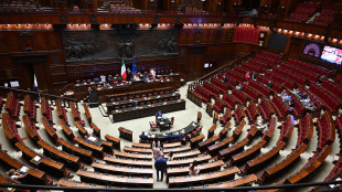 Sostegno a piano Usa per Gaza, ok dalla Camera con 182 s&igrave;