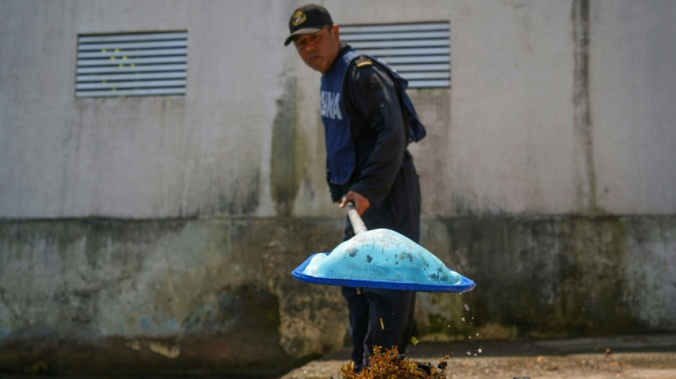 Retiran 128 toneladas de crudo del Golfo de M&eacute;xico tras un derrame 