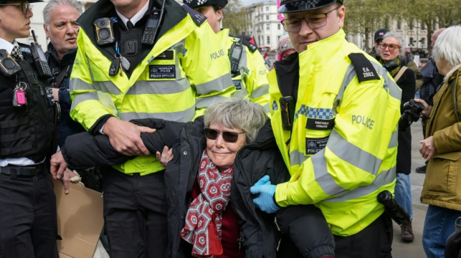  Mehr als 90 Festnahmen bei pro-pal&auml;stinensischer Demonstration in London 