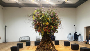 Aperto il Padiglione russo alla Biennale, musica e tanti fiori
