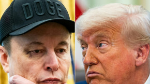 Musk apaga mensagem que vinculava Trump a Jeffrey Epstein