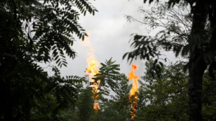 Equateur: la fin de l'extraction p&eacute;troli&egrave;re dans une r&eacute;serve naturelle prendra au moins 5 ans (gouvernement)
