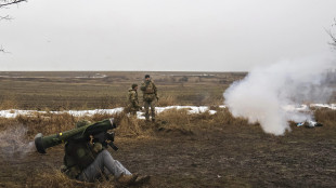 Mosca annuncia la conquista di un villaggio nella regione di Zaporizhzhia
