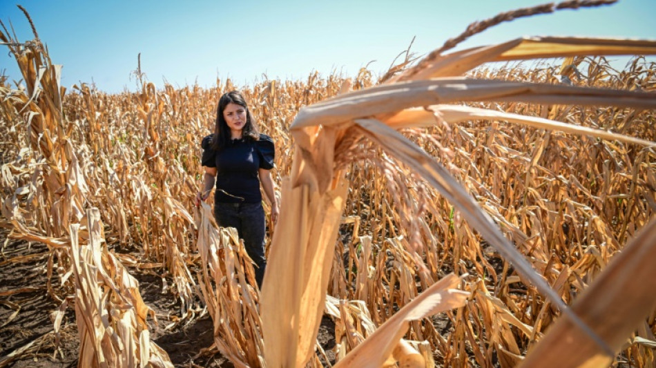  EU-Landwirtschaftskommissar: Kein Abbau von Umweltschutz durch Reformpläne 