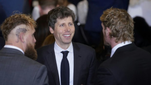 &iquest;Cu&aacute;nto puede durar la fiebre de la inversi&oacute;n en IA?