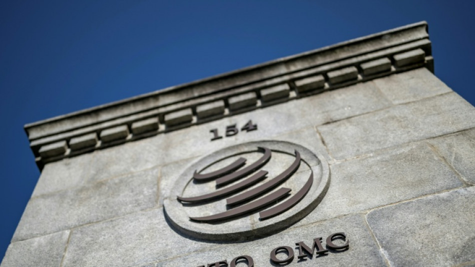  Middle East war weighs on global trade outlook: WTO 